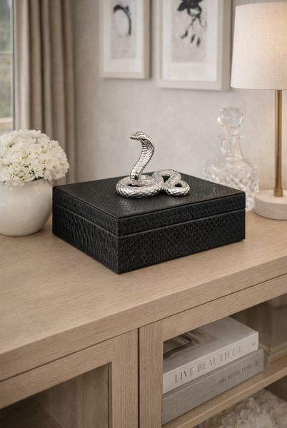 Cobra skrin silver/black 