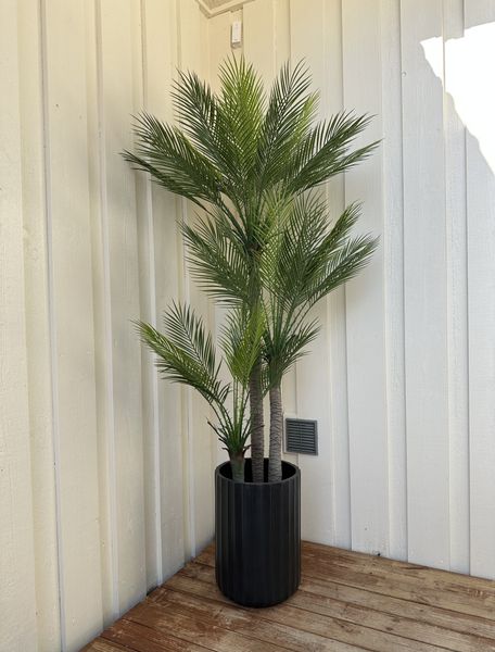 Slim Palm Triple Trunk Outdoor UV Protected 180CM