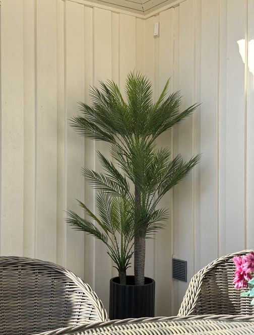 Hovedbilde Slim Palm Triple Trunk Outdoor UV Protected 180CM