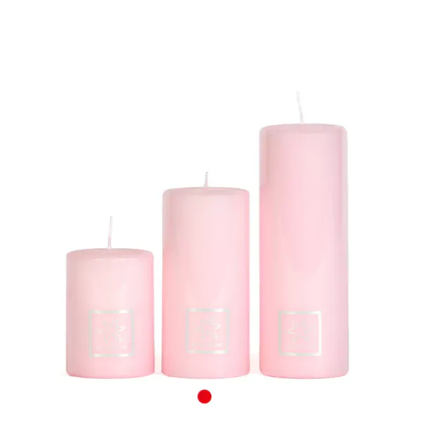 Kubbelys rosa  Ø7 x H15